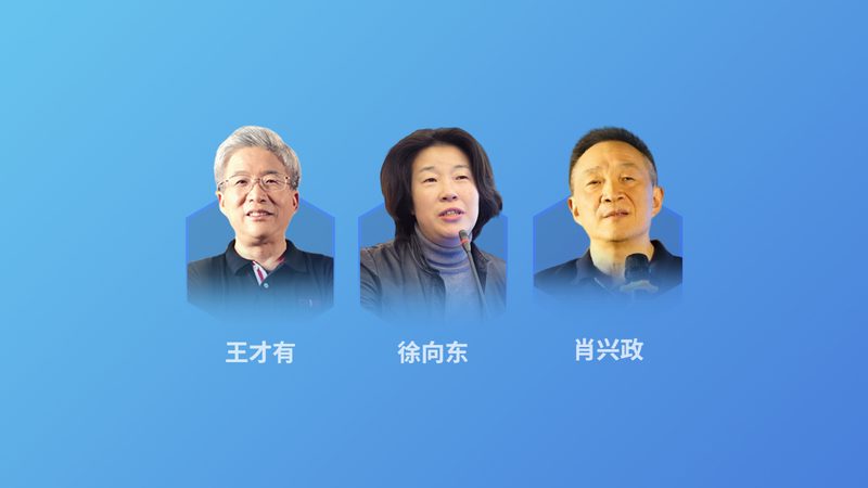 营养咨询：免费与付费模式的差异与选择